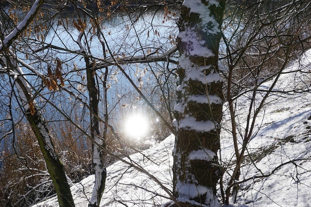 Zima w parku miejskim ze słońcem odbijającym się w jeziorze