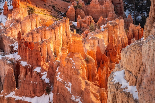 Zima W Parku Narodowym Bryce Canyon, Utah, Usa