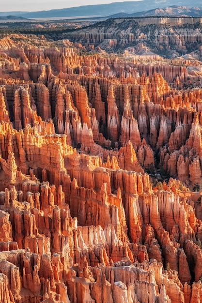 Zima W Parku Narodowym Bryce Canyon, Utah, Usa