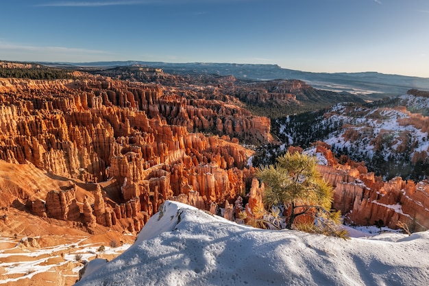 Zdjęcie zima w parku narodowym bryce canyon, utah, usa