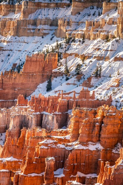 Zima W Parku Narodowym Bryce Canyon, Utah, Usa