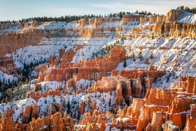 Zima W Parku Narodowym Bryce Canyon, Utah, Usa