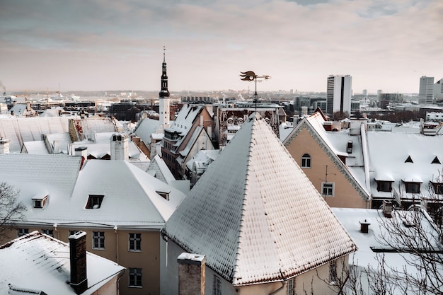 Zima Widok Na Stare Miasto W Tallinie.