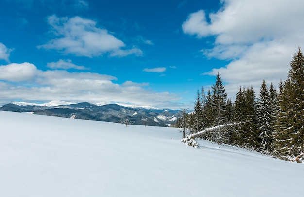 Zima zaśnieżona Karpaty Ukraina