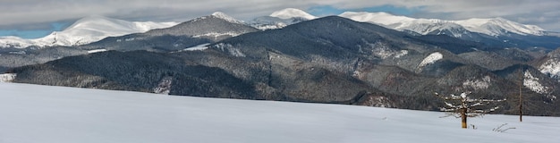 Zima zaśnieżona Karpaty Ukraina