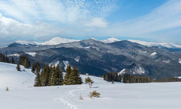 Zima zaśnieżona Karpaty Ukraina
