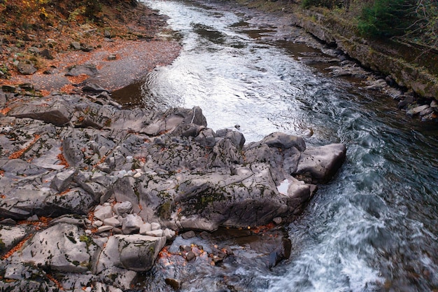 Zimny strumień spływający po skałach i kamieniach ze zbocza góry przez terakotowy las z pożółkłymi drzewami i opadłymi liśćmi jesienią