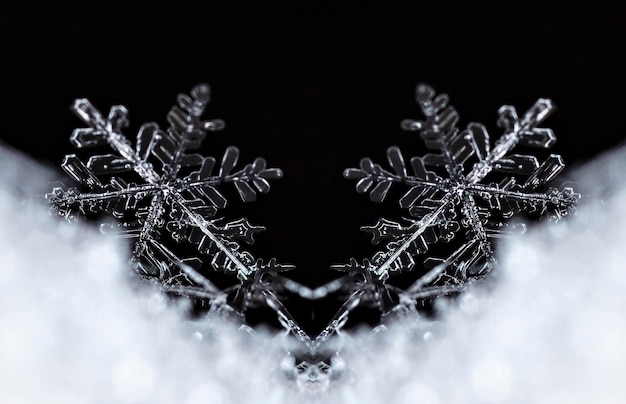 Zdjęcie zimowa karta kryształy śniegu zimowe zdjęcie
