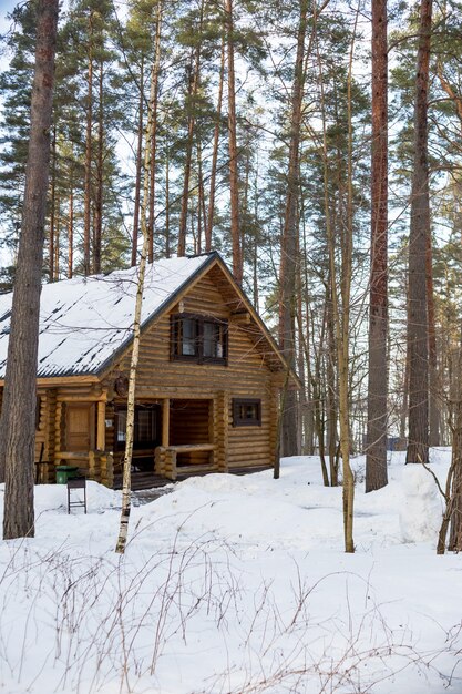 Zimowa opowieść. Fiński domek w pięknym śnieżnym lesie. Drewniany wiejski domek w zimowym lesie sosnowym, dach pokryty śniegiem, dom wakacyjny. Północna przyroda