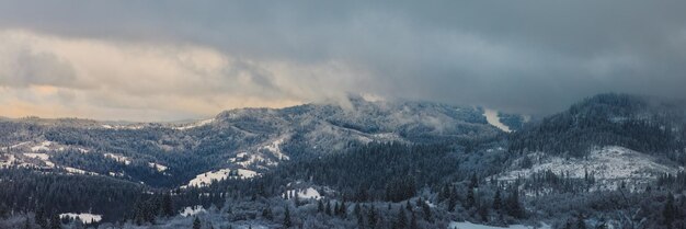 Zimowa Scena Bożonarodzeniowa Z Widokiem Na Zaśnieżony Las Sosnowy W Górach