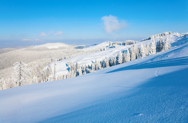 Zimowa szadź i pokryte śniegiem jodły na zboczu góry (Karpaty, Ukraina)