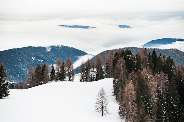 Zimowe góry w mglisty dzień. Dolomity, Włochy