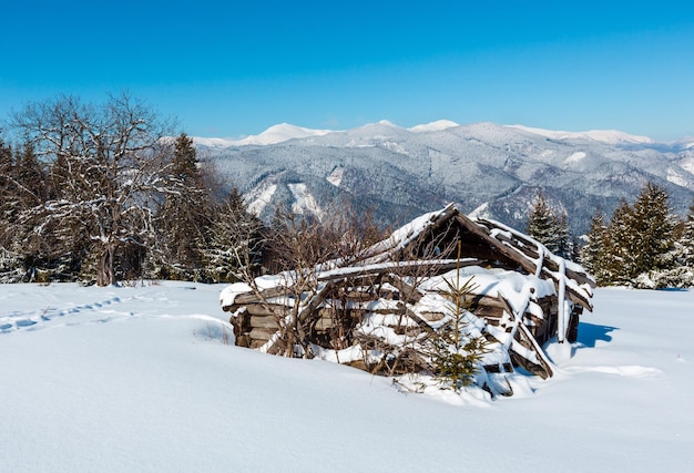 Zimowe ośnieżone Karpaty i stara zrujnowana drewniana szopa Ukraina