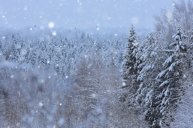 zimowe tło opady śniegu drzewa streszczenie niewyraźne białe