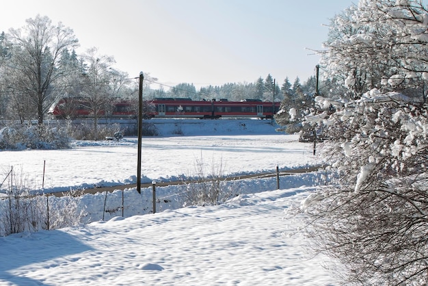 Zimowe tło W piękny zimowy dzień czerwony pociąg na tle śniegu