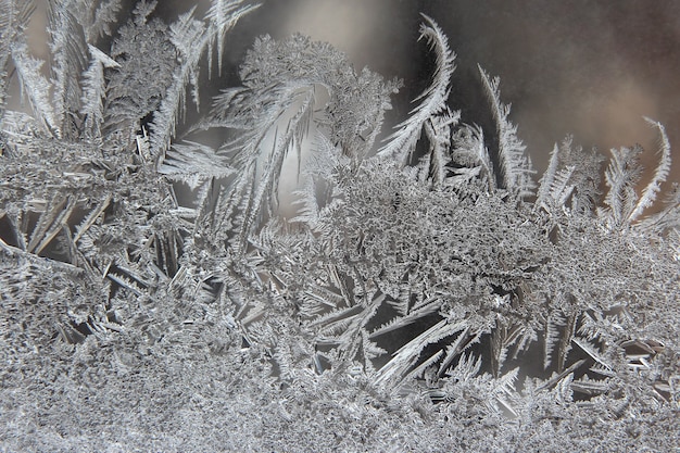 Zdjęcie zimowe wzory lodu na oknie