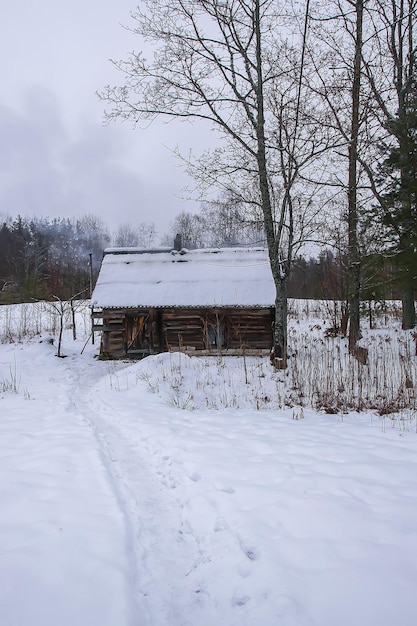 Zimowy dzień na Łotwie Europa Scenic charakter widoku