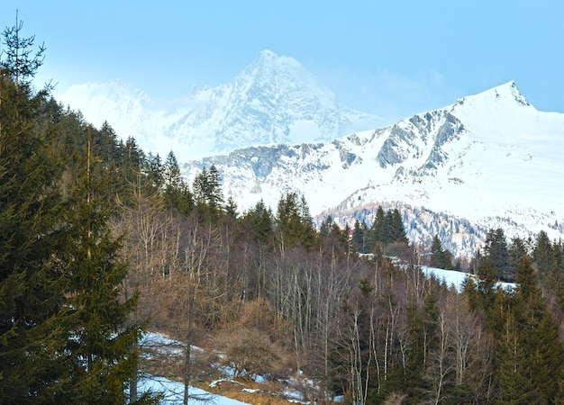 Zimowy górski krajobraz kraju z lasu na zboczu (Austria).