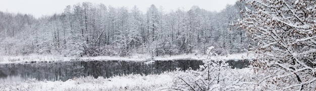 Zimowy krajobraz Boże Narodzenie i Nowy Rok Gałęzie drzew pod miękkim śniegiem odbijają się w wodzie leśnej rzeki