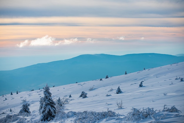 Zimowy krajobraz Boże Narodzenie ze śniegiem. Tapeta na nowy rok. Zimowy krajobraz Boże Narodzenie ze śniegiem. Tapeta na nowy rok.