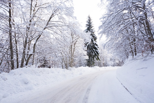 Zimowy krajobraz, droga pokryta śniegiem. Alpy włoskie