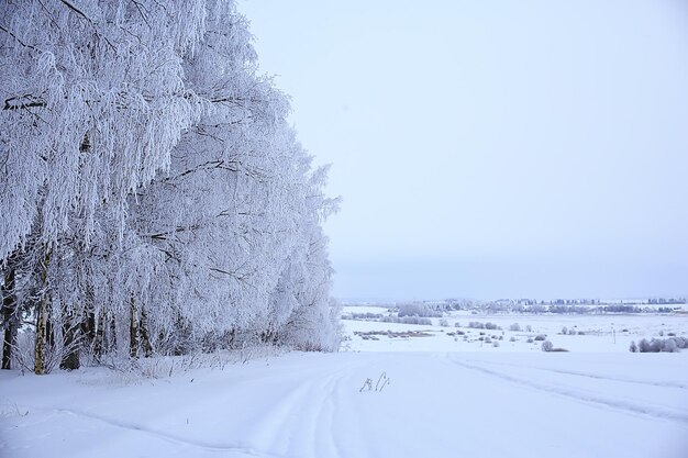 zimowy krajobraz drzewa pokryte szronem