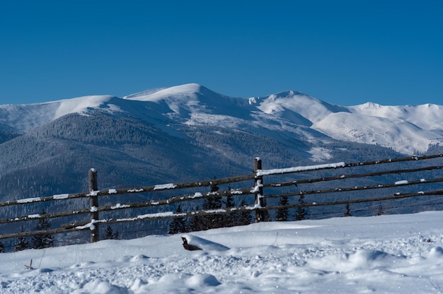 Zimowy krajobraz górski Pasmo górskie pokryte śniegiem Góry za drewnianym płotem Szczyty gór zimą Zimowe podróże