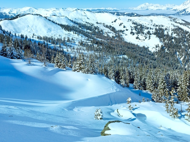 Zimowy Krajobraz Górski Z Ośnieżonymi świerkami Na Stoku (region Hochkoenig, Austria)