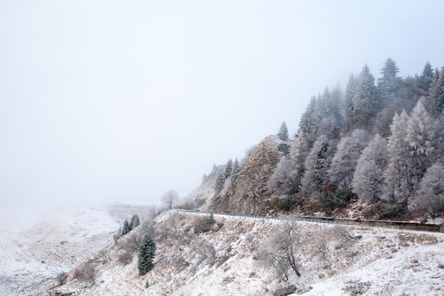 Zimowy krajobraz góry Grappa. Piękny widok na włoskie Alpy