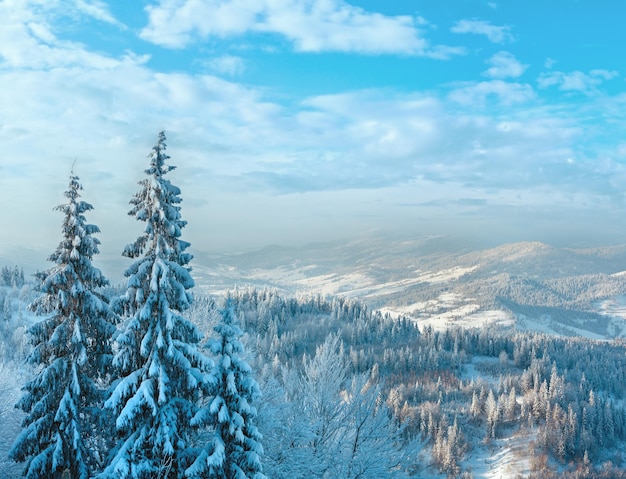 Zimowy Krajobraz Karpat Ukraińskich