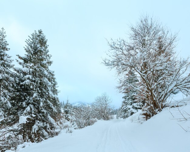Zimowy krajobraz Karpat