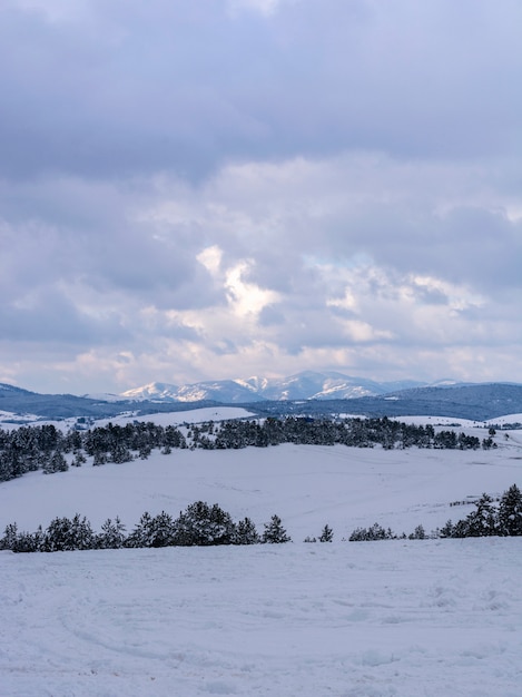Zdjęcie zimowy krajobraz na górze