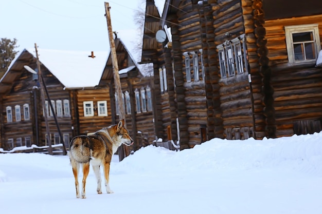 zimowy krajobraz rosyjska wioska na północ drewniany dom