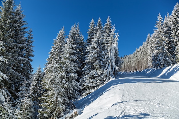Zimowy krajobraz w górach ośrodek narciarski Bukovel
