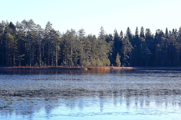 zimowy krajobraz w lesie / śnieżna pogoda w styczniu, piękny krajobraz w śnieżnym lesie, wycieczka na północ