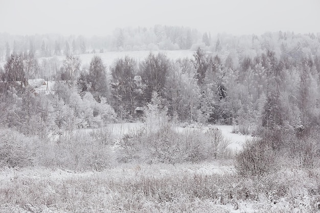 Zimowy Krajobraz W Lesie / śnieżna Pogoda W Styczniu, Piękny Krajobraz W śnieżnym Lesie, Wycieczka Na Północ