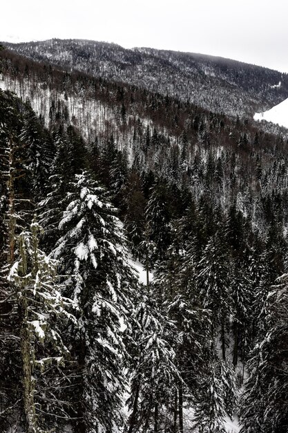 Zimowy Krajobraz W Pirenejach Po Ciężkich Stowm śniegu.
