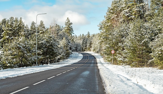 Zimowy krajobraz w słoneczny dzień Autostrada asfaltowa przechodzi w zaśnieżony las sosnowy