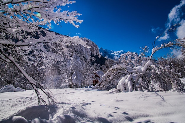 Zimowy krajobraz we francuskich Alpach