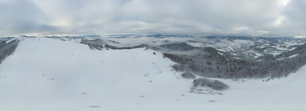 Zimowy krajobraz we mgle ze śniegiem i gałęziami pokrytymi szronem i zamarzniętym śniegiem Wysokiej jakości zdjęcie