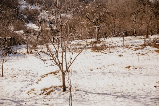 Zimowy krajobraz we wsi