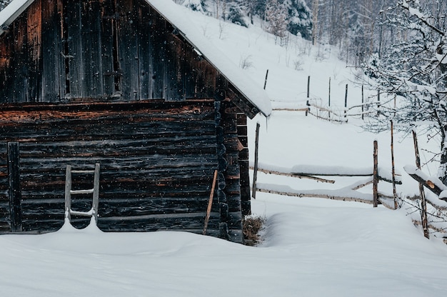 Zdjęcie zimowy krajobraz wsi ośnieżony drewniany dom magazynowy malownicza spokojna zimowa scena