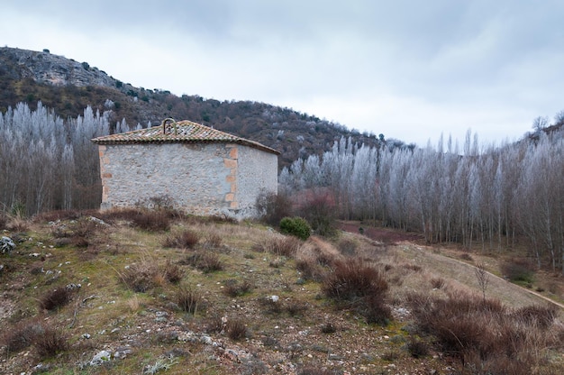 Zdjęcie zimowy krajobraz z drzewami i pustelnią w luzaga guadalajara hiszpania