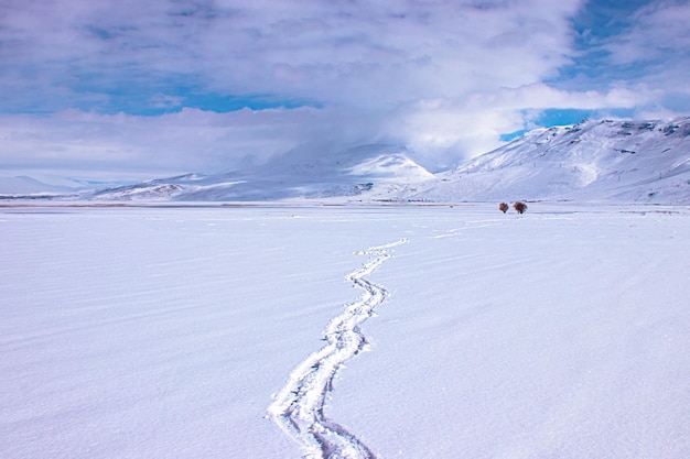 Zimowy krajobraz z górami i śniegiem, svalbard. Ślady człowieka chodzącego po śniegu