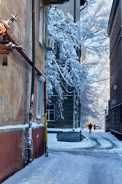 Zimowy krajobraz z opadłym śniegiem na drzewach i chodniku