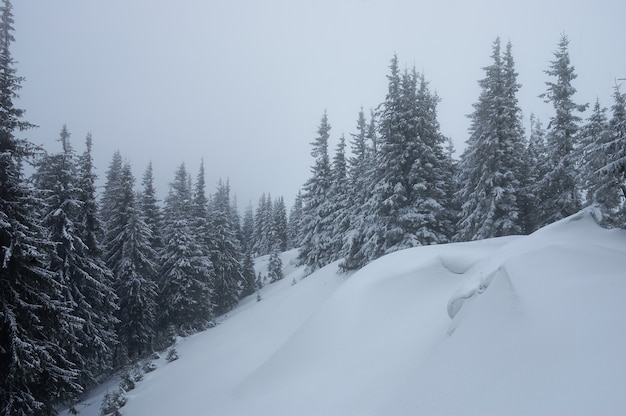 Zimowy krajobraz ze śniegiem w górach Karpat