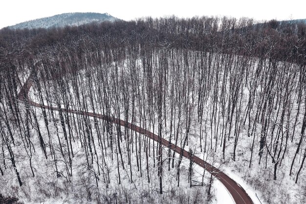 Zimowy las i droga. Widok z góry.