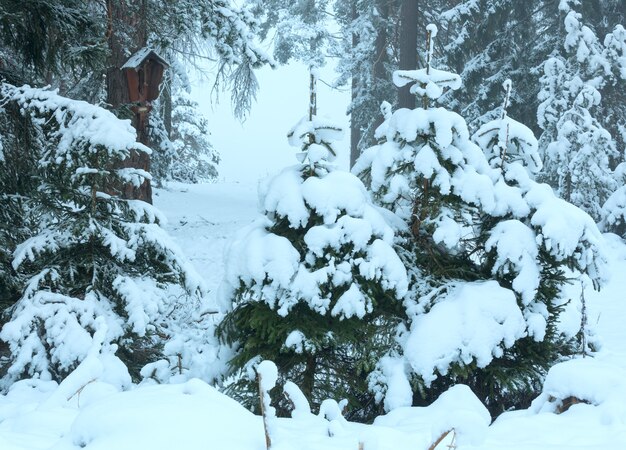 Zimowy las z ośnieżonymi jodłami i Ukrzyżowaniem Jezusa Chrystusa na pniu (Austria).