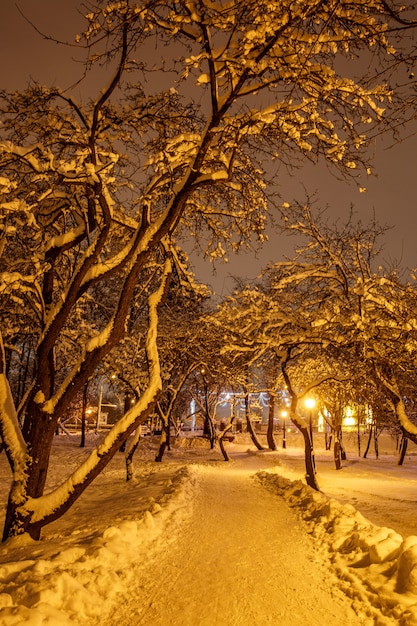 Zimowy Park Wieczorem Pokryty śniegiem Z Dołączonymi Latarniami Ulicznymi.