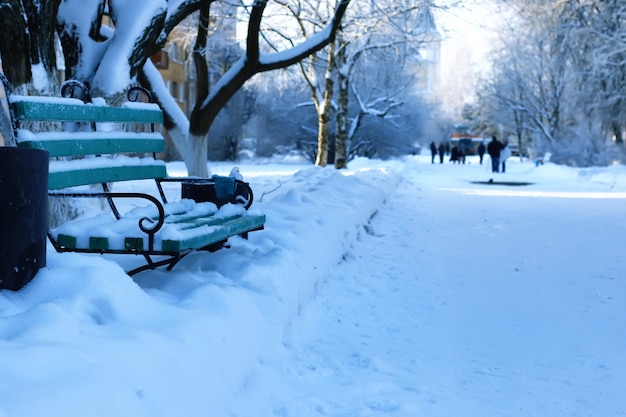 Zimowy park z ławkami pokrytymi śniegiem